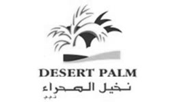 Desert Palm