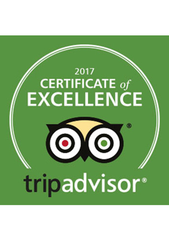 Trip Adviser Certificate of Excellence